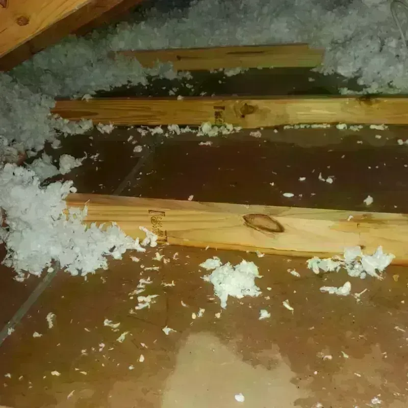 Attic Water Damage in Wauna, WA